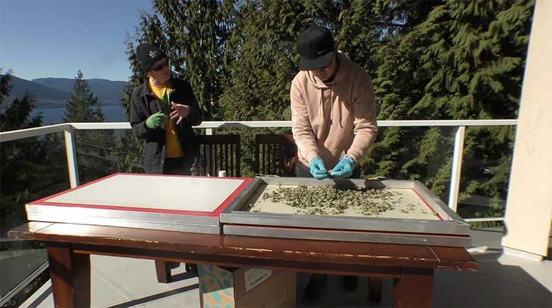 The Ultimate Guide to Dry Sift Screen Sets: Achieving Melt-Quality Purity at Home