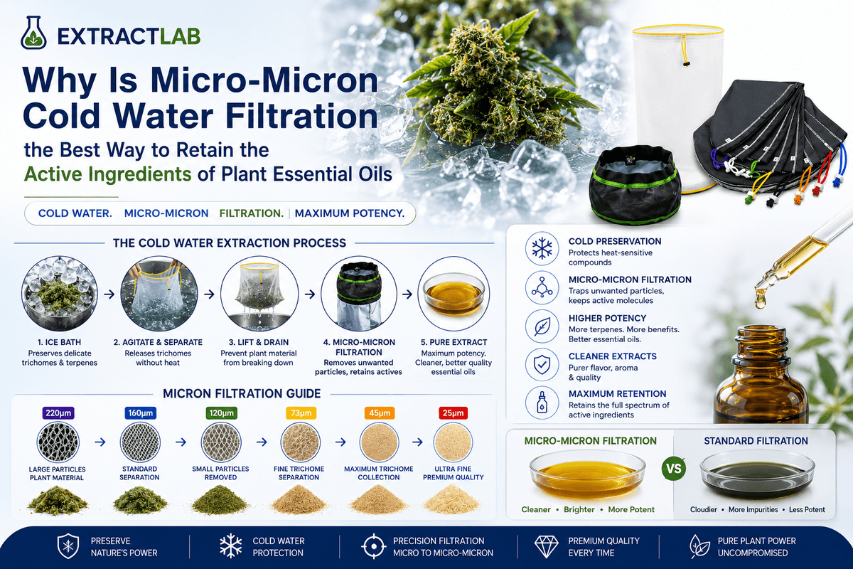 Why Is Micro-Micron Cold Water Filtration the Best Way to Retain the Active Ingredients of Plant Essential Oils?