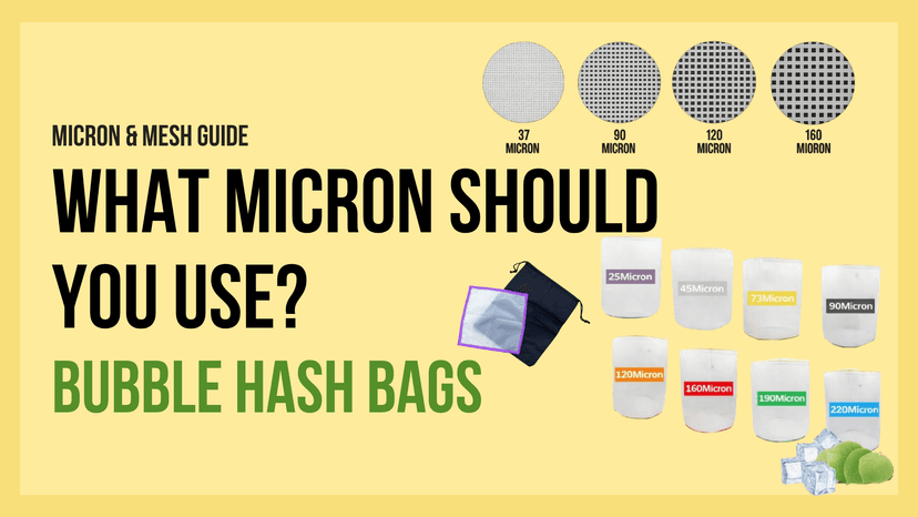 What Micron Bubble Hash Bags Should You Use? (Complete Filtration Guide for Beginners & Professionals)